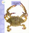 Crabs - 9781681522982 by Mari Schuh, 9781681522982