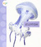 Jellyfish - 9781681523002 by Mari Schuh, 9781681523002