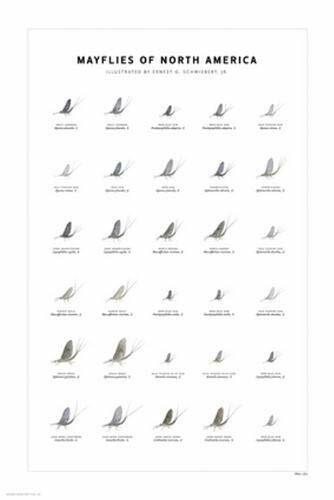 Mayflies of North America Print Set by Ernest G. Schwiebert, 9780979903731