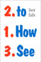 How to See (Looking, Talking, and Thinking about Art) - 9780393354966 by David Salle, 9780393354966