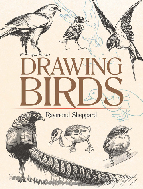 Drawing Birds by Raymond Sheppard, 9780486820323