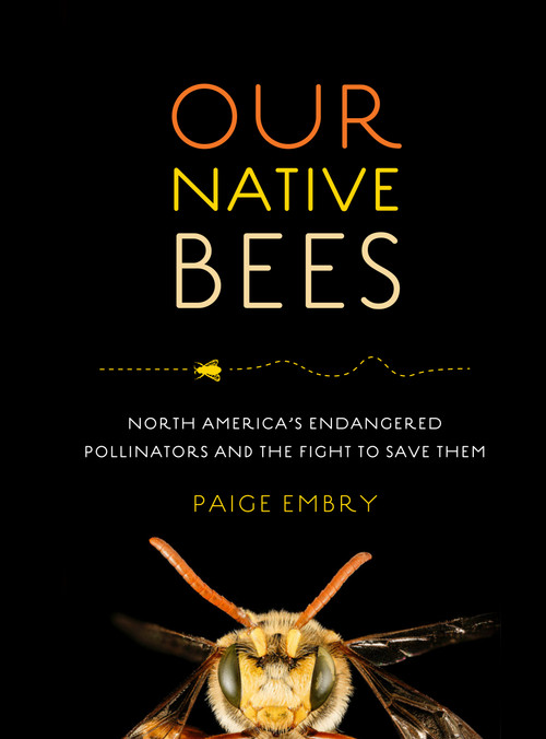 Our Native Bees (North America's Endangered Pollinators and the Fight to Save Them) by Paige Embry, 9781604697698