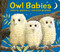 Owl Babies Oversized Board Book by Martin Waddell, Patrick Benson, 9780763695200