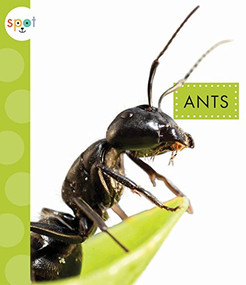 Ants - 9781681522234 by Nessa Black, 9781681522234