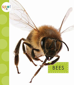 Bees by Nessa Black, 9781681522241