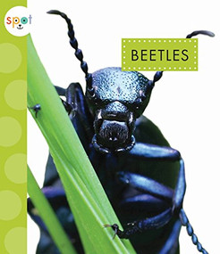 Beetles - 9781681522258 by Nessa Black, 9781681522258