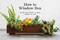 How to Window Box (Small-Space Plants to Grow Indoors or Out) by Chantal Aida Gordon, Ryan Benoit, 9781524760243