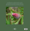 Observing Nature by APA, Violet Boulden, 9788854412323