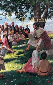 KJV Economy New Testament with Psalms, Illustrated Trade Paper by Holman Bible Publishers, 9781558190382
