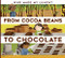 From Cocoa Beans to Chocolate by Bridget Heos, Stephanie Fizer Coleman, 9781681521459