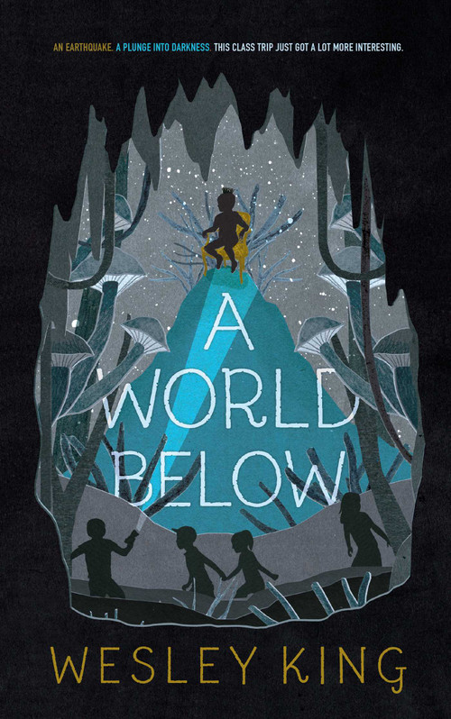 A World Below by Wesley King, 9781481478229