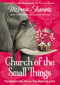Church of the Small Things (The Million Little Pieces That Make up a Life) - 9780310351030 by Melanie Shankle, 9780310351030