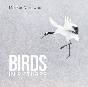 Birds in Pictures - 9781925546262 by Markus  Varesvuo, 9781925546262