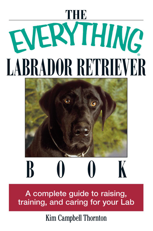 The Everything Labrador Retriever Book (A Complete Guide to Raising, Training, and Caring for Your Lab) by Kim Campbell Thornton, 9781593370480