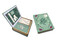 Emily Dickinson Deluxe Note Card Set (With Keepsake Book Box) by Insight Editions, 9781683833123