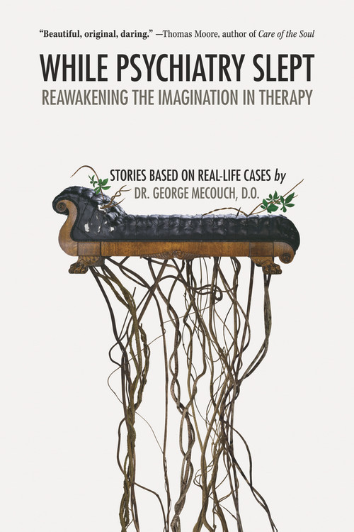 While Psychiatry Slept (Reawakening the Imagination in Therapy) by Dr. George Mecouch, 9780996660365
