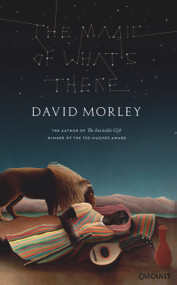The Magic of What's There by David Morley, 9781784104948