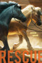 Rescue by Jessie Haas, 9781629798806