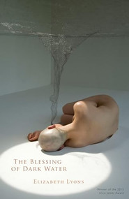The Blessing of Dark Water by Elizabeth Lyons, 9781938584336