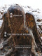 The Roots of Wisdom by Di Zang, Eleanor Goodman, 9781938890987