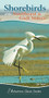 Shorebirds of the Southeast & Gulf States (Your Way to Easily Identify Shorebirds) by Stan Tekiela, 9781591936565