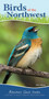 Birds of the Northwest (Your Way to Easily Identify Backyard Birds) by Stan Tekiela, 9781591934110