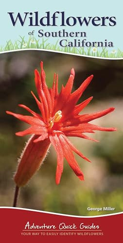 Wildflowers of Southern California (Your Way to Easily Identify Wildflowers) by George Oxford Miller, 9781591937517