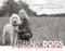 Literary Dogs by John Lane, Betsy Wakefield Teter, 9781891885983