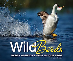 Wild Birds (North America's Most Unique Birds) by Stan Tekiela, 9781591937784