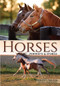 Horses (Portraits & Stories) by Shelley Paulson, 9781682033302
