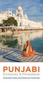 Punjabi-English/English-Punjabi Dictionary & Phrasebook by Manmohan Kaur, 9780781813006