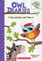 Eva and the Lost Pony: Branches Book (Owl Diaries #8) - 9781338163032 by Rebecca Elliott, Rebecca Elliott, 9781338163032
