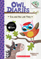 Eva and the Lost Pony: A Branches Book (Owl Diaries #8) - 9781338163032 by Rebecca Elliott, Rebecca Elliott, 9781338163032