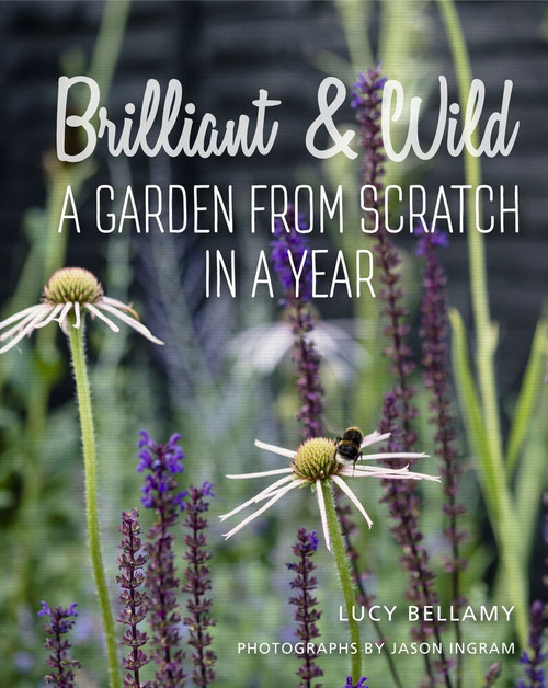 Brilliant & Wild (A Garden from Scratch in a Year) by Lucy Bellamy, Jason Ingram, 9781910258637