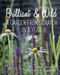 Brilliant & Wild (A Garden from Scratch in a Year) by Lucy Bellamy, Jason Ingram, 9781910258637