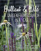 Brilliant & Wild (A Garden from Scratch in a Year) by Lucy Bellamy, Jason Ingram, 9781910258637
