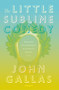The Little Sublime Comedy by John Gallas, 9781784104740
