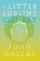 The Little Sublime Comedy by John Gallas, 9781784104740