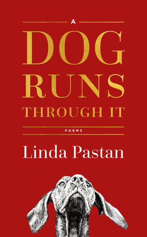 A Dog Runs Through It (Poems) by Linda Pastan, 9780393651300