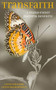 Transfaith (A Transgender Pastoral Resource) by Chris Dowd, Christina Beardsley, 9780232533118