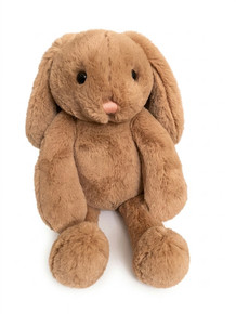 Bunny Rabbit 