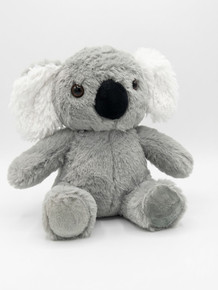 Koala Bear