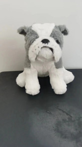 Maurice the BULLDOG