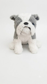Maurice the BULLDOG