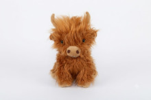 Highland Cow
