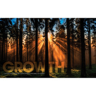 Growth Forest