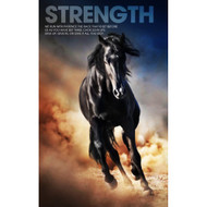 Strength Mustang
