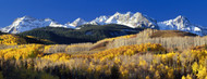 Standard Photo Board: Rocky Mountains Aspens in Autumn - AMER