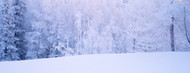 Standard Photo Board: Winter Scenic Alaska -AMER