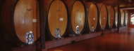 Standard Photo Board: Wine Barrels Napa Wine Country -AMER